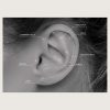 BILNSG-01 (Micro barbells set w.premium zirconia) - Imagen 4
